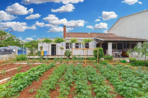 Ferienwohnung für 5 Personen ca 63 qm in Fažana, Istrien Istrische Riviera